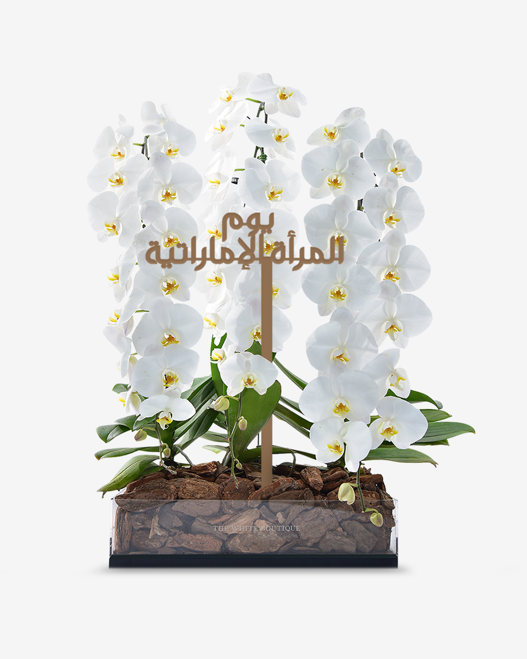 Side Image